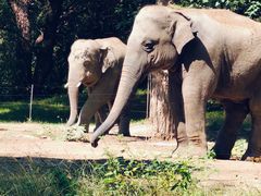 -北京野生动物园