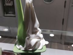 -Salud撒露欧洲冻酸奶(蓝色港湾店)