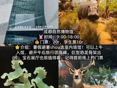-成都欢乐谷