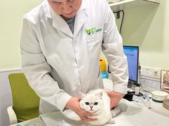 -艾吉宠物医院·疑难杂症转诊中心·猫友好(碧江路院)