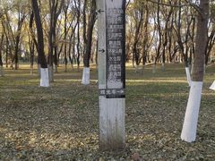 -长白岛森林公园