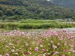 -龙江公园