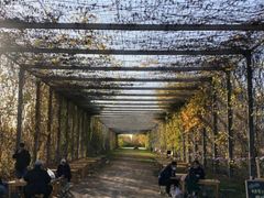 -安德鲁户外烧烤帐篷营地(马泉营店)