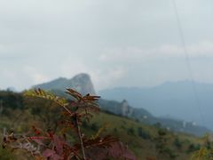 -秦岭风景区