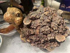 -上隐水产海鲜刺身自助餐(淮海百盛店)