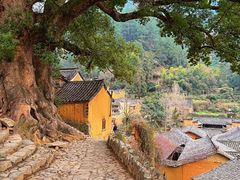 -杨家堂村