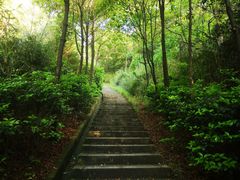 -桃花岭景区