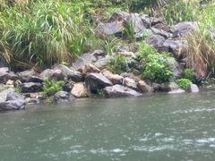 -仙人谷漂流景区