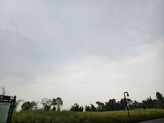 -空港花田景区