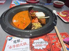 -生活如沸·顺德水牛奶火锅(大学路店)