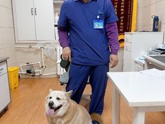 -北京观赏动物医院·24小时大型综合·猫专科·异宠专科