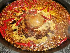 牛油红锅-重庆渝达老火锅(春熙路店)