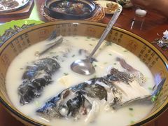 -全乐鱼馆·淳牌有机鱼直营店