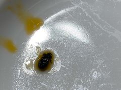 -海底捞火锅(龙岗星河COCO Park店)