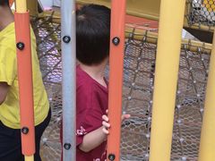 -中国福利会少年宫