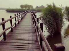 -西青郊野公园