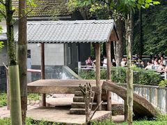 -中国大熊猫保护研究中心雅安碧峰峡基地