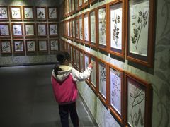 -广东中医药博物馆