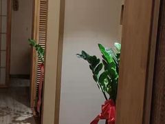 -中苑海韵