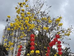-洲头咀公园