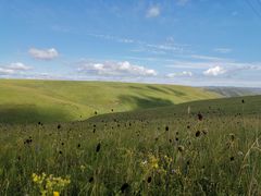 -塞罕坝国家级自然保护区