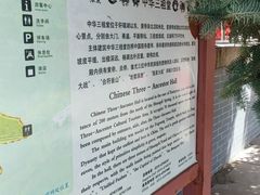 -中华三祖圣地黄帝城遗址文化旅游区