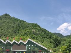 -牛背梁国家森林公园