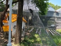 -苏州太湖西山岛开心农场