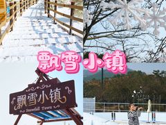 -盈香心动乐园