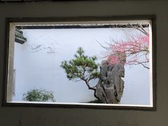 -杭州植物园
