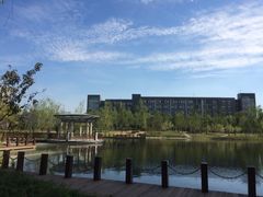 鉴湖-河南财经政法大学(郑东校区)