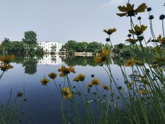 -东湖生态旅游风景区