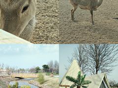 -安德鲁户外烧烤帐篷营地(马泉营店)