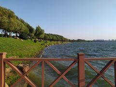 -丁香湖公园