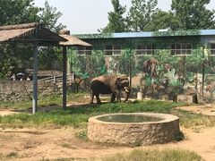 -西安秦岭野生动物园