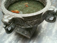 android_upload_pic-笨鸡小跑·临沂炒鸡·佛跳墙(罗庄店)