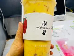 -树夏(建设路店)