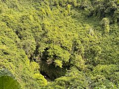 -海口火山口国家地质公园