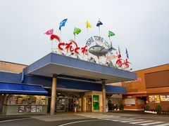 -南纪白浜Toretore市场