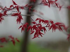 -崇明东平国家森林公园烧烤房车露营地