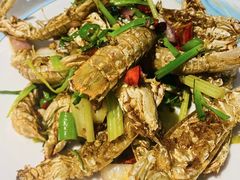 -红盔甲·小龙虾(人民广场店)