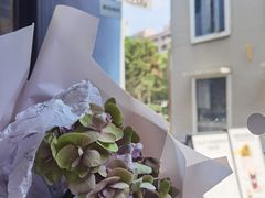 -Seesaw Coffee(上生新所店)