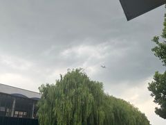 -胜华驾校·小猫学车(银都店)