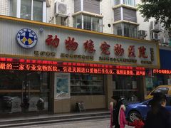 -动物缘宠物医院·骨科·猫科(西二环店)