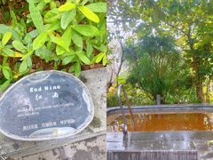 -广州从化都喜泰丽度假酒店温泉