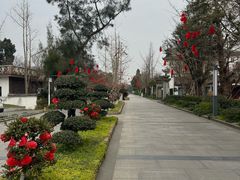 -郫都区农科村景区