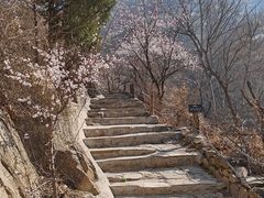 -灵溪风景区