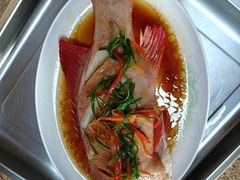 -福孕妈妈家政•月嫂育儿嫂保姆