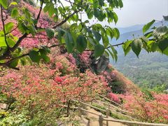 -木兰云雾山