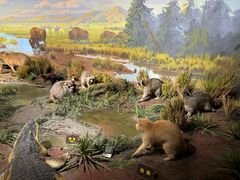 -陕西自然博物馆